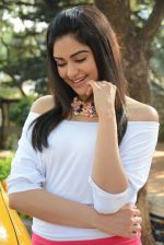 Adah Sharma Photo Shoot on 29th Jan 2016